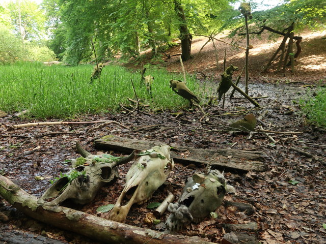 Sagnlandet Lejre (29. Mai)