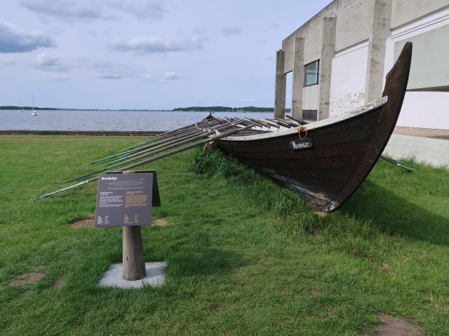 Vikingeskibsmuseet in Roskilde (29. Mai)
