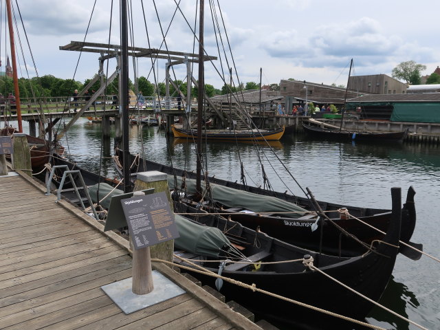 Vikingeskibsmuseet in Roskilde (29. Mai)