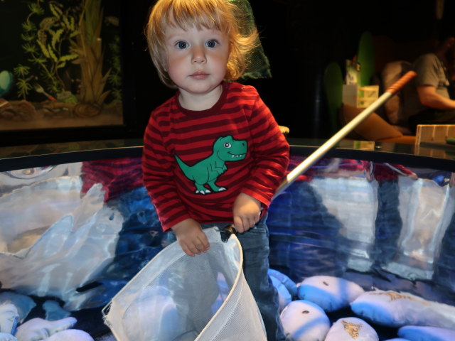 Nils im Experimentarium in Hellerup (31. Mai)