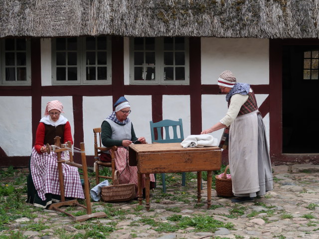 Frilandsmuseet in Kongens Lyngby (1. Juni)