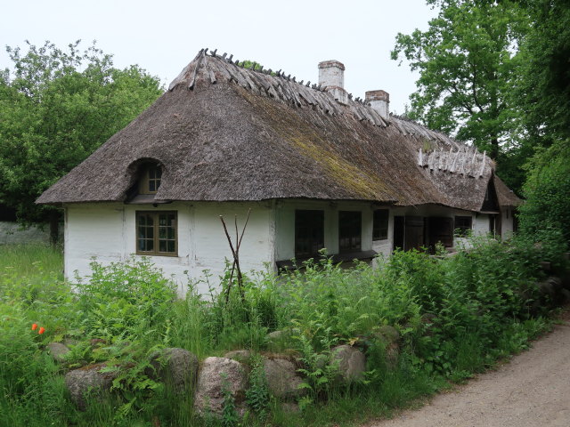 Frilandsmuseet in Kongens Lyngby (1. Juni)