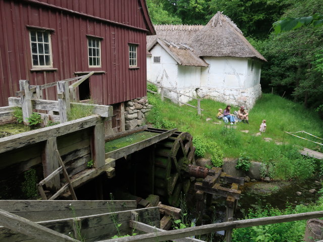 Frilandsmuseet in Kongens Lyngby (1. Juni)