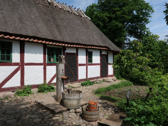 Frilandsmuseet in Kongens Lyngby (1. Juni)