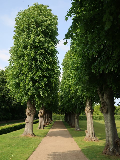 Frederiksborg Haven in Hillerød (1. Juni)