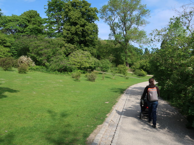 Sabine im Botanisk Have in København (2. Juni)