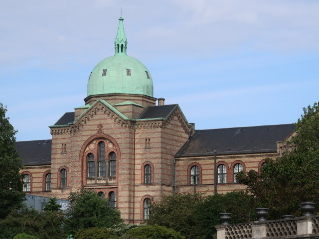 Palmehuset im Botanisk Have in København (2. Juni)