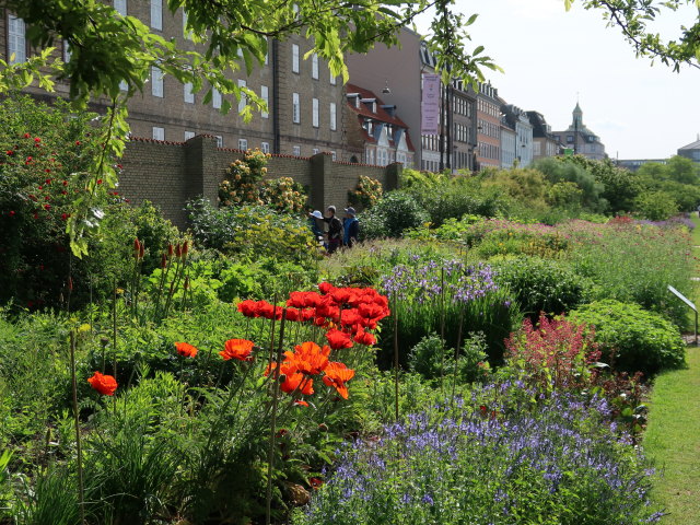 Kongens Have in København (2. Juni)