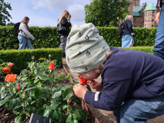 Nils im Kongens Have in København (2. Juni)