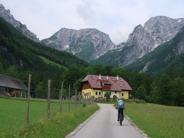 Tim beim Gasthof Baumschlagerreith, 724 m (7. Juni)
