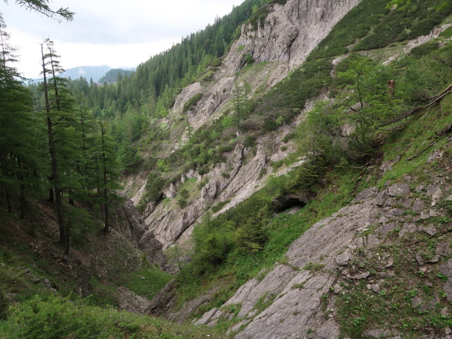 Schwarzgraben (7. Juni)