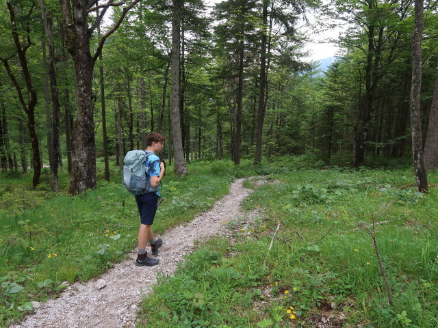 Tim am Salzsteig (7. Juni)