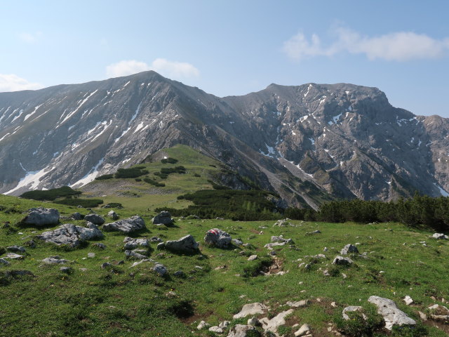 zwischen Schafkögel und Hans-Rubenzucker-Steig (9. Juni)