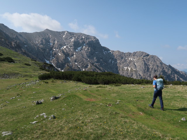 Tim zwischen Schafkögel und Hans-Rubenzucker-Steig (9. Juni)