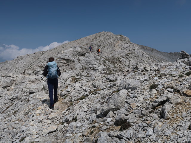Tim zwischen Hochmölbing und Kreuzspitze (9. Juni)