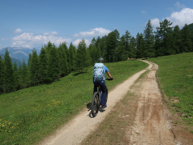 Tim zwischen Edtbauernalm und Unterer Edtbauernalm (9. Juni)