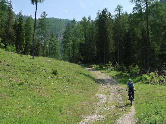 Tim zwischen Edtbauernalm und Unterer Edtbauernalm (9. Juni)