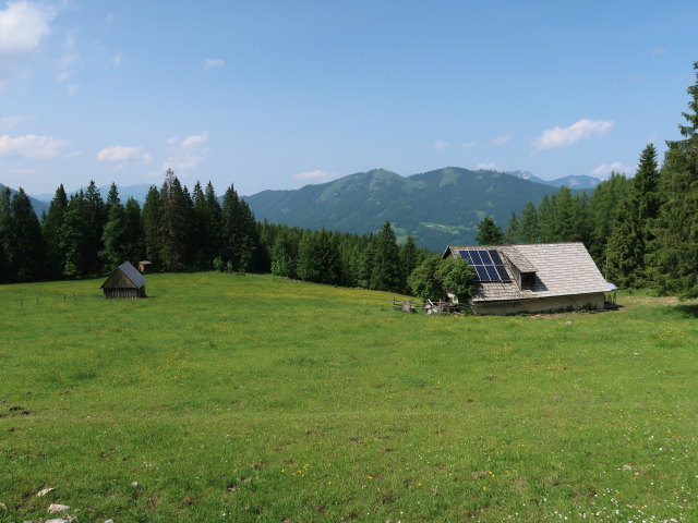 Steyrsbergerreith, 1.193 m (9. Juni)