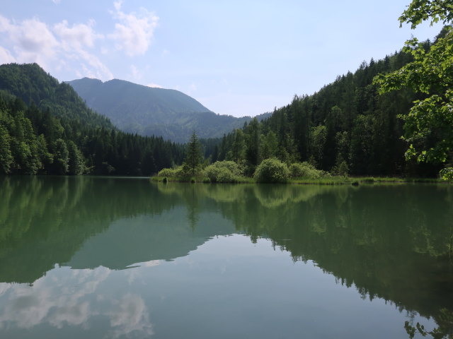 Schafferteich, 891 m (9. Juni)