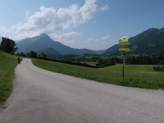 Tim zwischen Hammerlgraben und Huttererseite (9. Juni)