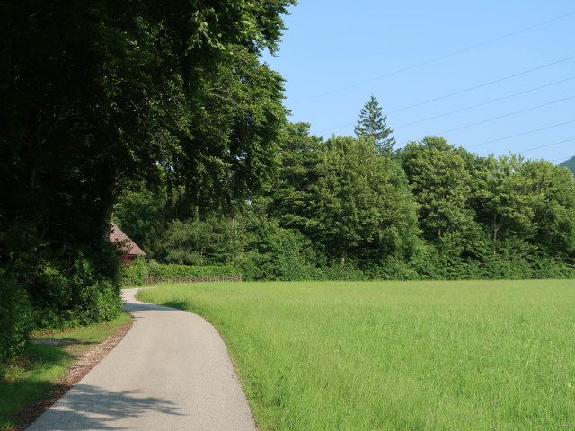 zwischen St. Pankraz und Palmgraben (9. Juni)