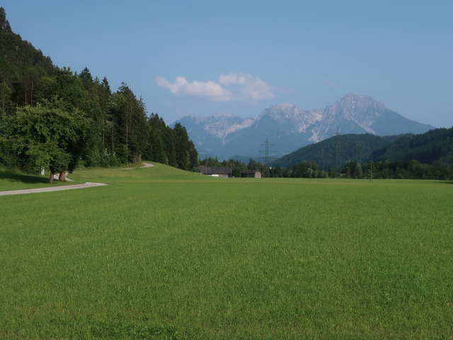 zwischen Palmgraben und Stummergut (9. Juni)