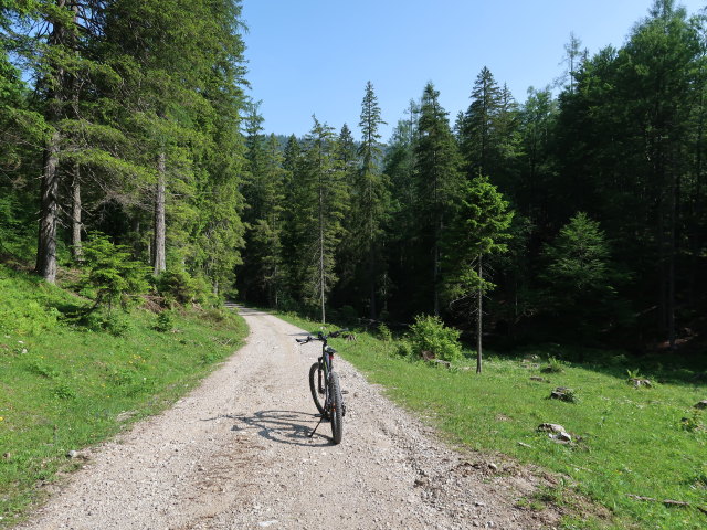 zwischen Haslersgatter und Rumpelmayrreith (10. Juni)