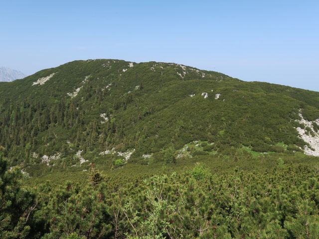 Kleiner Größtenberg vom Großen Größtenberg aus (10. Juni)