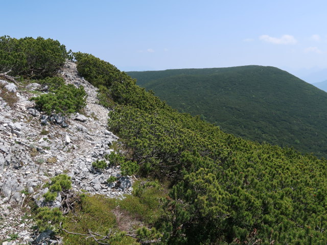 zwischen Kleinem Größtenberg und Halterhüttental (10. Juni)