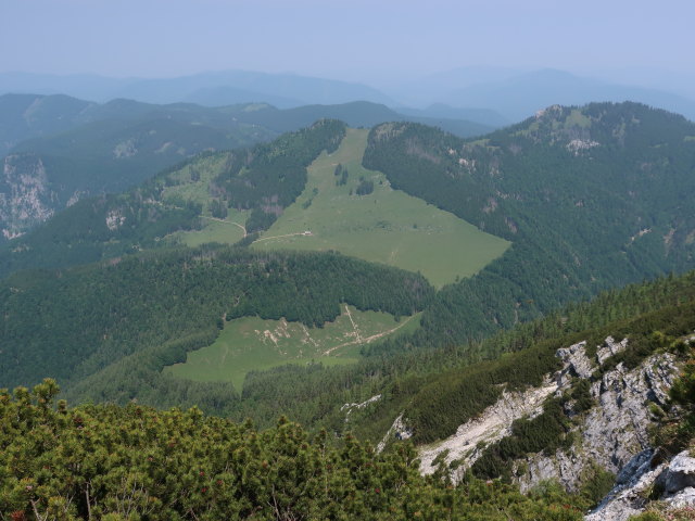 vom Kleinen Größtenberg Richtung Norden (10. Juni)