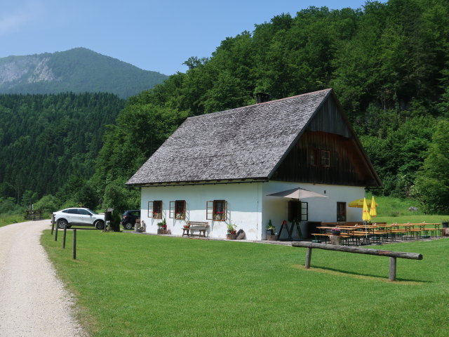 Jagahäusl, 641 m (10. Juni)