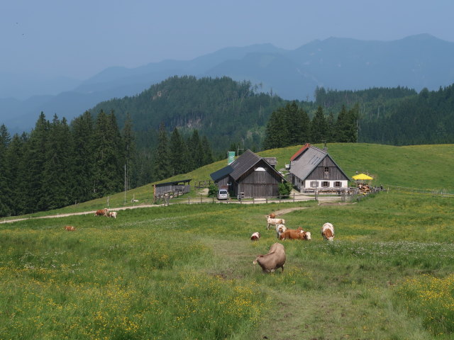 Ebenforstalm, 1.105 m (10. Juni)