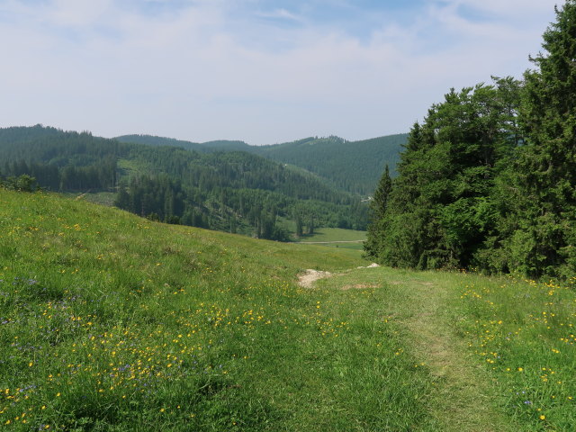 zwischen Ebenforstalm und Trämpl (10. Juni)