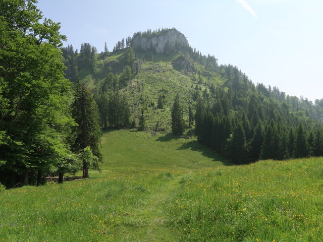 zwischen Ebenforstalm und Trämpl (10. Juni)