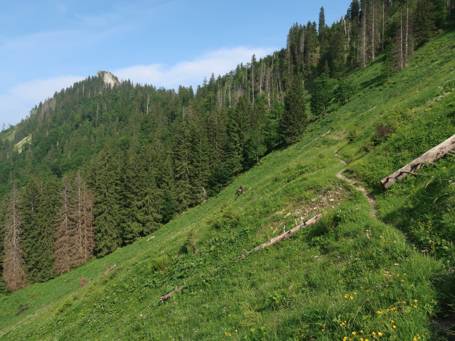 zwischen Luchsboden und Ebenforstalm (10. Juni)