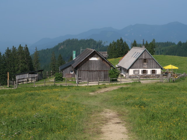 Ebenforstalm, 1.105 m (10. Juni)