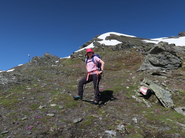 Irene zwischen Alpincenter Kaprun und Schmiedingerscharte (14. Juni)