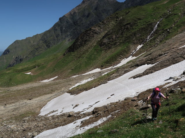 Irene im Schmiedingerkar (14. Juni)