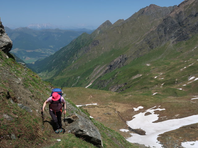 Irene am Krefelder Weg zwischen Hacklsee und Kleetörl (14. Juni)