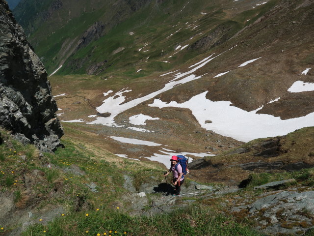 Irene am Krefelder Weg zwischen Hacklsee und Kleetörl (14. Juni)
