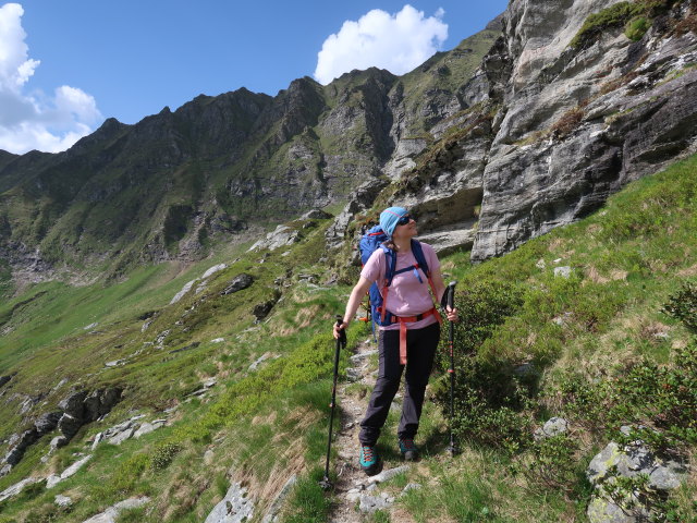 Irene am Krefelder Weg zwischen Wurfbach und Schattseitlahner (14. Juni)