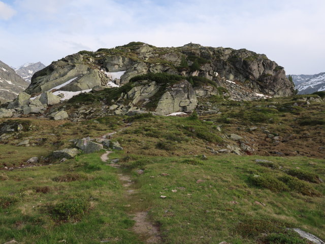 zwischen Niederer Scharte und Vorderem Schafbichl (14. Juni)
