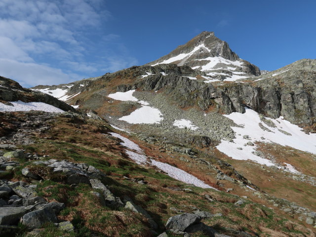 zwischen Kalser Tauern und Weißsee (15. Juni)