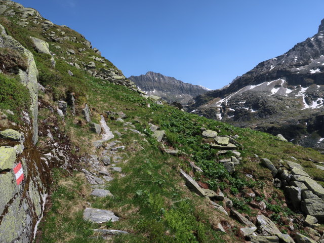 zwischen Weißsee und Steinerner Stiege (15. Juni)