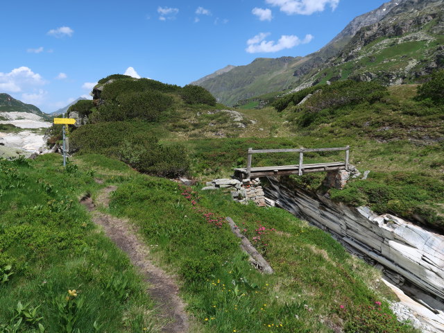 Gaulmöslsteg (15. Juni)