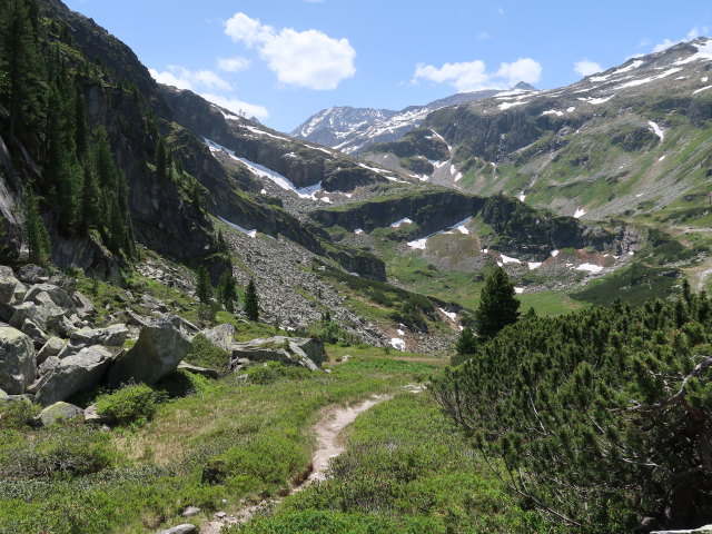 zwischen Niederer Scharte und Grünsee (15. Juni)