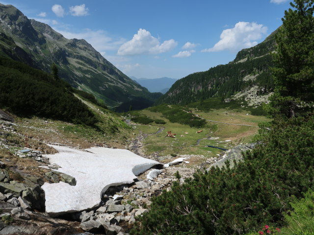 zwischen Niederer Scharte und Grünsee (15. Juni)