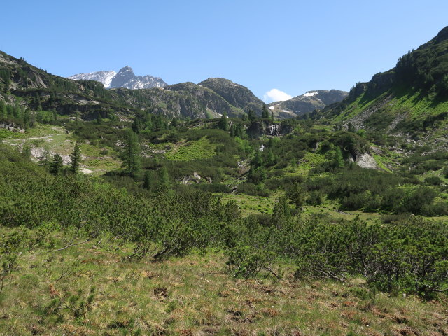 zwischen Niederer Scharte und Grünsee (15. Juni)