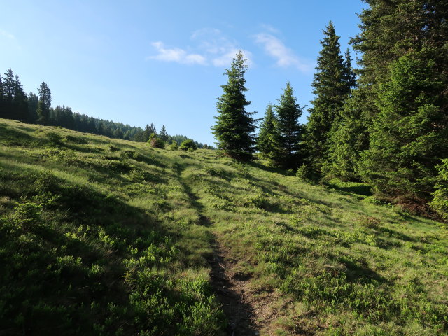 zwischen Spörralm und Schröflkogel