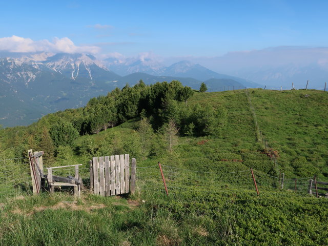 zwischen Spörralm und Schröflkogel